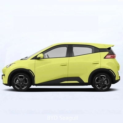 BYD Seagull 2023 Flying Edition Range 405km Free Edition DOT Conformità e approvazione