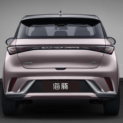 Tipo di carrozzeria chiusa Autoveicoli elettrici per famiglie ABS Sì Byd-Dolphin Multiprise EV