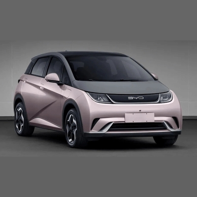 Tipo di carrozzeria chiusa Autoveicoli elettrici per famiglie ABS Sì Byd-Dolphin Multiprise EV