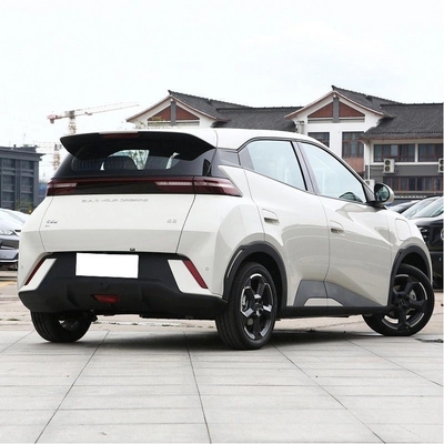 2024 2023 Accessibile Chiuso 305 km 405 km Piccola auto elettrica EV Byd Gabbiano Haiou Sedan