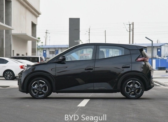 BYD Seagull 2023 Flying Edition Range 405km Free Edition DOT Conformità e approvazione