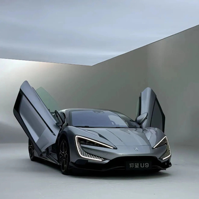 Disco anteriore sistema di frenata posteriore Dsic personalizzazione per Yang Wang U9 Super Car EV Electric