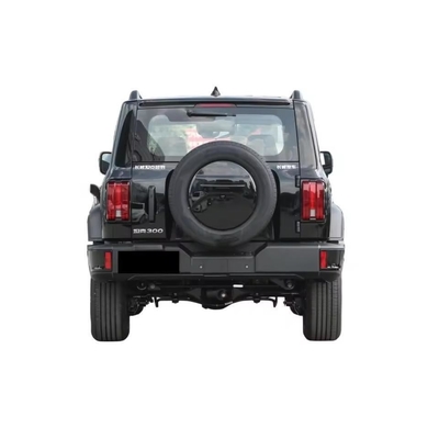 Benzina Conqueror Great Wall Tank 300 2024 2.0t Auto usata e velocità massima 175 Km/h
