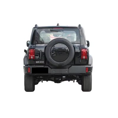 Serbatoio 300 2024 2.0t Conqueror SUV Auto 5 posti e servizio post-vendita a comando remoto