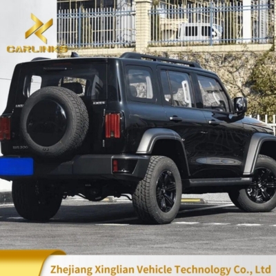 2024 Great Wall Tank 300 2.0t 227PS L4 8at Custom Model Car con 175 Km/H velocità massima