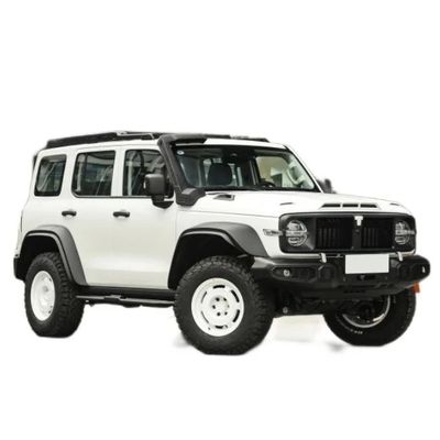 Serbatoio di benzina 300 2023 Modello 2.0t Iron Rider 02 SUV Auto con 5 posti prestazioni