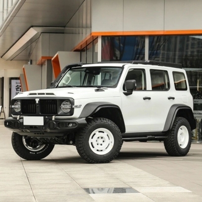 Serbatoio di benzina 300 2023 Modello 2.0t Iron Rider 02 SUV Auto con sistema di frenata meccanica