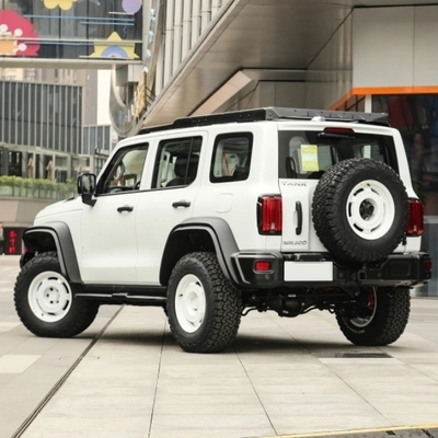 Serbatoio di benzina 300 2023 Modello 2.0t Iron Rider 02 SUV Auto con sistema di frenata meccanica