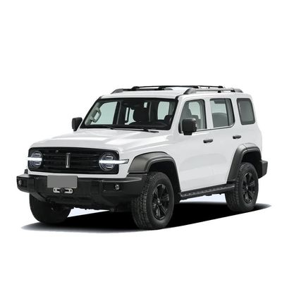 Chinese Tank 300 SUV con 2.0t 227PS L4 8at Custom Model Car in colore esterno nero