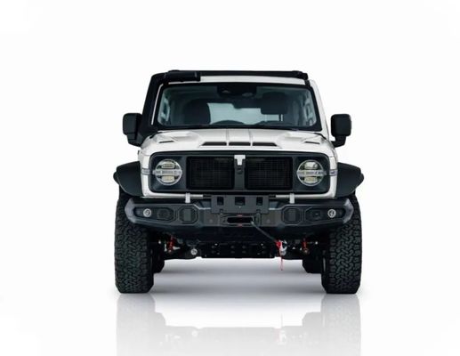 Chinese Tank 300 SUV con 2.0t 227PS L4 8at Custom Model Car in colore esterno nero
