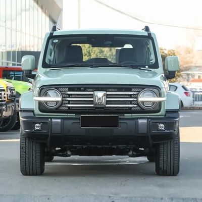 Chinese Gasoline SUV 2023 Changcheng Tank 300 2.0t 02 con sistema di frenata meccanico