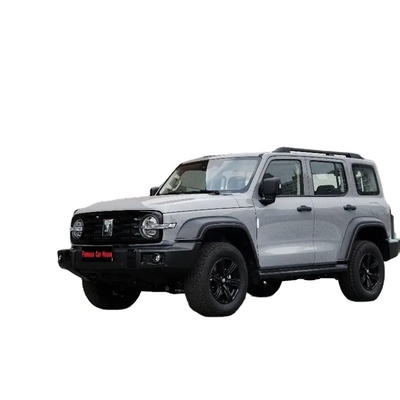 Chinese Gasoline SUV 2023 Changcheng Tank 300 2.0t 02 con sistema di frenata meccanico