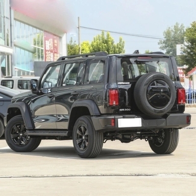 Serbatoio 300 richiesta personalizzata 5 porte 5 posti auto di dimensioni compatte da Great Wall Automobile