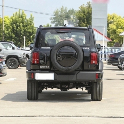 Fornitore diretto di grande muro serbatoio 300 SUV 8-Gear Gasoline Car Mgnt Certificazione ISO10012