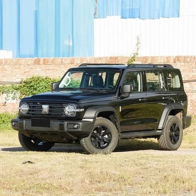 Modello 2023 2.0t Iron Rider 02 SUV Auto con 5 porte e SUV di corpo