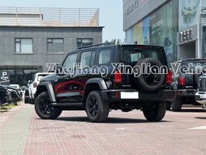Gran muro serbatoio 300 4X4 2.0t Conqueror Versione SUV Jeep Benzina Auto per il Beneficio