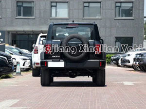 2023 Car Tank 300 Gwm Front Awd SUV cilindrata 1000-1600cc e etichetta del carburante n. 92
