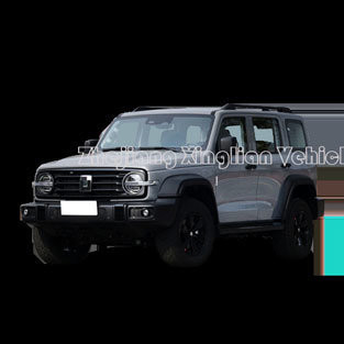 Cisterna per autoveicoli 300 2023 Off-Road Versione 2.0t Veicolo Conqueror con sterzo sinistro