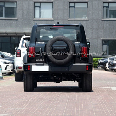 Tank300 2024 SUV 2.0t Great Wall Tank 300 Auto realizzata con sistema di frenata meccanico