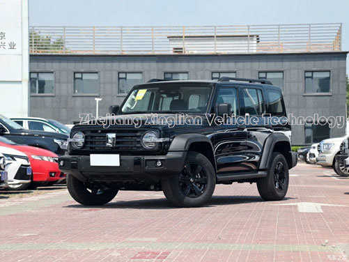 167KW Potenza massima Serbatoio di sterzo sinistro 300 SUV off-road per le esigenze del cliente