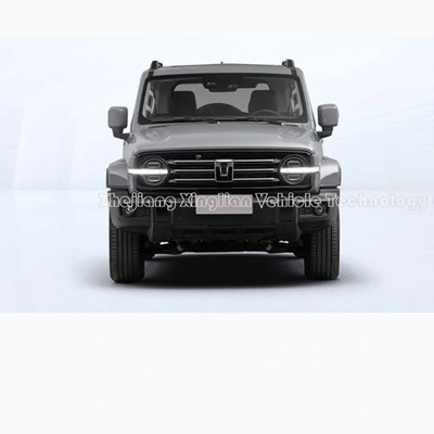 2023 Changcheng Tank 300 e Tank 500 Sport SUV per veicoli per adulti richiesta personalizzata