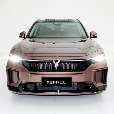 Richiesta personalizzata 2024 Voyah gratuito con e grande schermo 5 porte 5 posti SUV