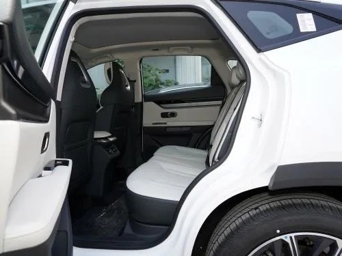 Prodotto SUV 2023 Modello 1.6t 5 porte 5 posti auto a benzina con personalizzazione da Jietu Dasheng