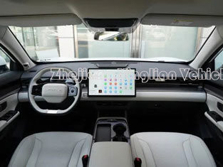 Jetway Dasheng's Plug-in Hybrid Off-Road Adult Vehicle Il tuo vantaggio di personalizzazione
